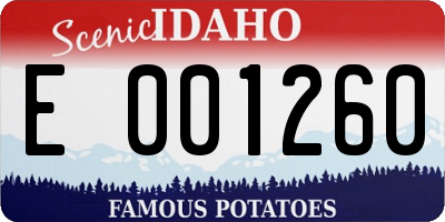 ID license plate E001260
