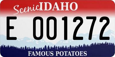 ID license plate E001272