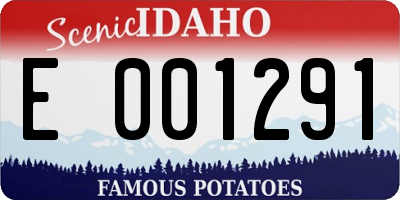 ID license plate E001291