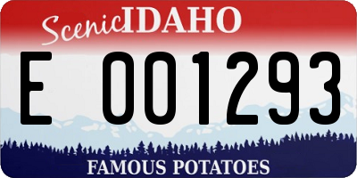 ID license plate E001293