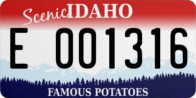 ID license plate E001316