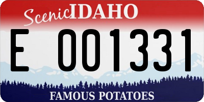 ID license plate E001331