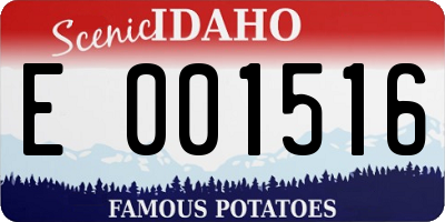 ID license plate E001516