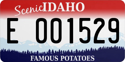 ID license plate E001529