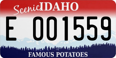 ID license plate E001559