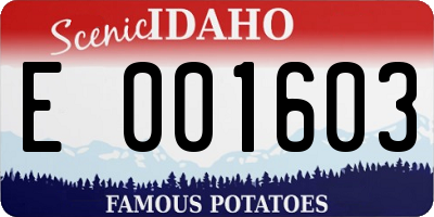 ID license plate E001603