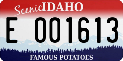 ID license plate E001613
