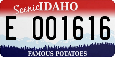 ID license plate E001616