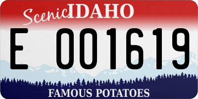 ID license plate E001619