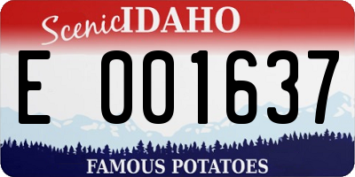 ID license plate E001637