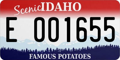 ID license plate E001655