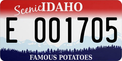 ID license plate E001705