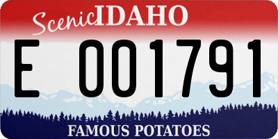 ID license plate E001791