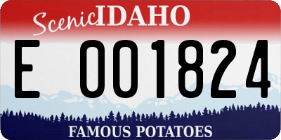 ID license plate E001824