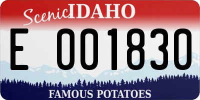 ID license plate E001830