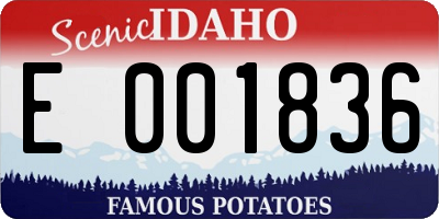 ID license plate E001836