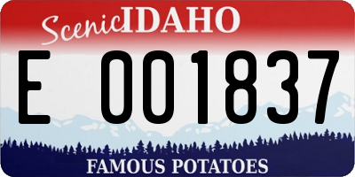 ID license plate E001837