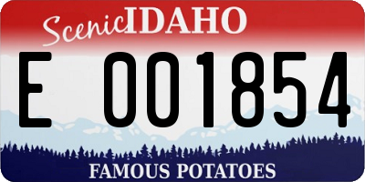 ID license plate E001854