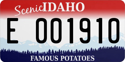 ID license plate E001910