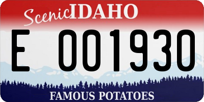 ID license plate E001930