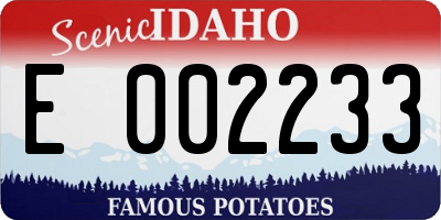 ID license plate E002233