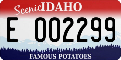 ID license plate E002299