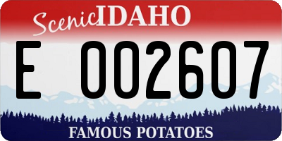 ID license plate E002607