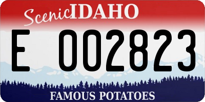 ID license plate E002823