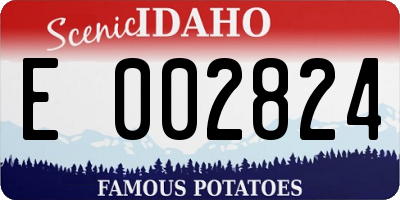 ID license plate E002824