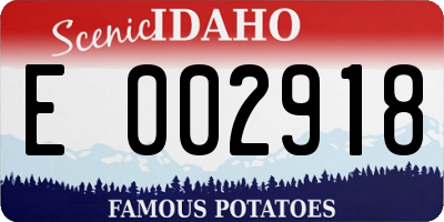 ID license plate E002918
