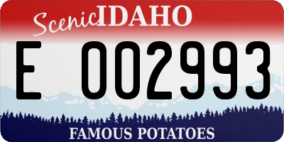ID license plate E002993
