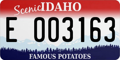 ID license plate E003163