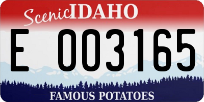 ID license plate E003165
