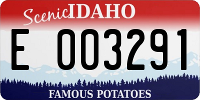 ID license plate E003291