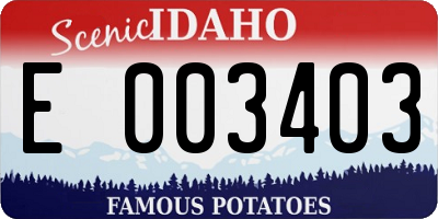 ID license plate E003403