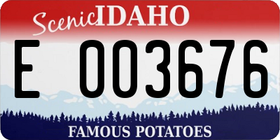 ID license plate E003676