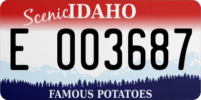 ID license plate E003687