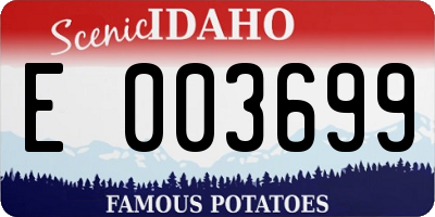 ID license plate E003699
