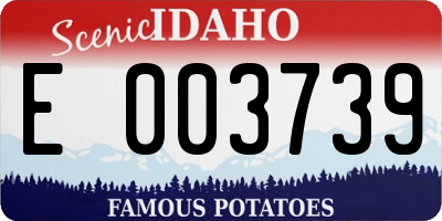 ID license plate E003739