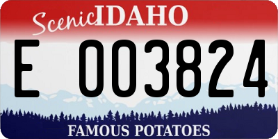 ID license plate E003824