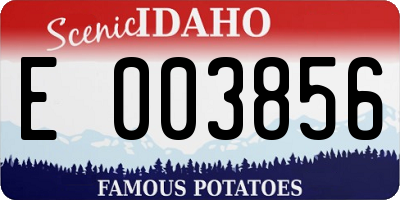 ID license plate E003856