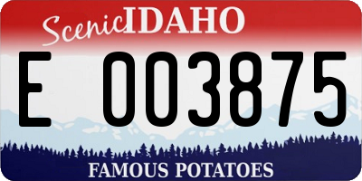 ID license plate E003875