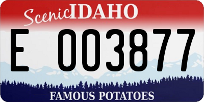 ID license plate E003877