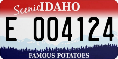 ID license plate E004124