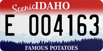 ID license plate E004163