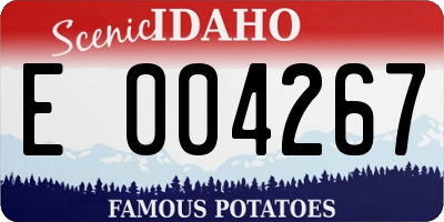 ID license plate E004267