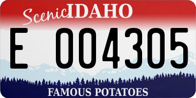 ID license plate E004305