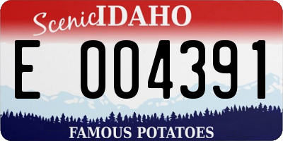 ID license plate E004391