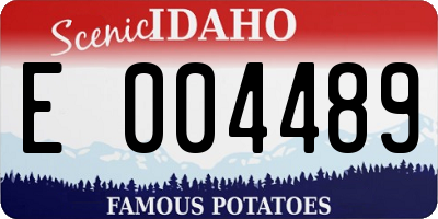 ID license plate E004489