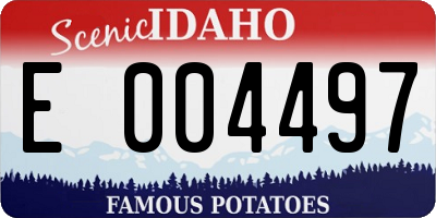 ID license plate E004497